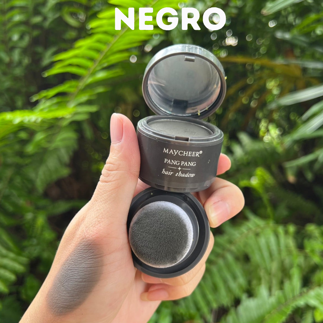 Hairline and Gray Hair Corrector