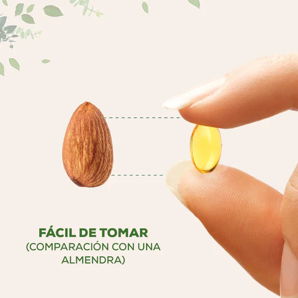 Natural Oregano Oil + Black Seed Capsules 180 capsules